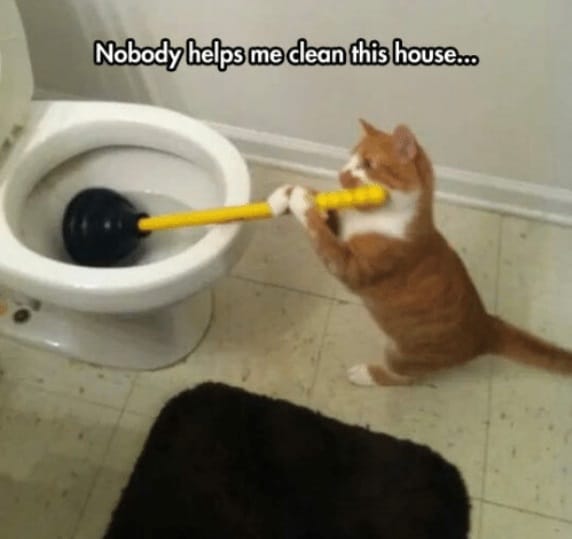 Nobody helps me clean this house