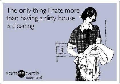 The only thing I hate more than a having dirty house is cleaning
